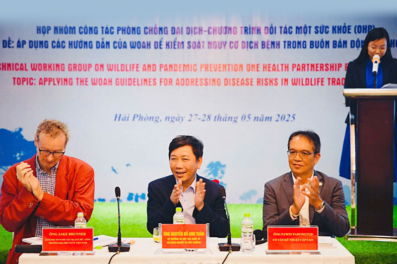Áp dụng các hướng dẫn của WOAH trong kiểm soát nguy cơ dịch bệnh trong buôn bán động vật hoang dã