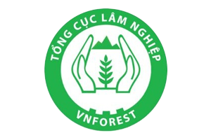 VN Forest